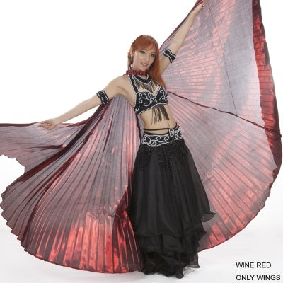 SHOWYOU Polyester 360 Ailes d'ange sans ramification Isis, Ailes dorées, Ailes argentées, Accessoires d'ailes, Ailes de danse du ventre, Danse du ventre