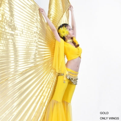 Polyester 360No-branching Isis Wings, Golden wings, Silver Wings, Wings Props, Belly Dancing Wings