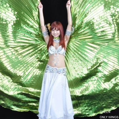 Polyester 360No-branching Isis Wings, Golden wings, Silver Wings, Wings Props, Belly Dancing Wings