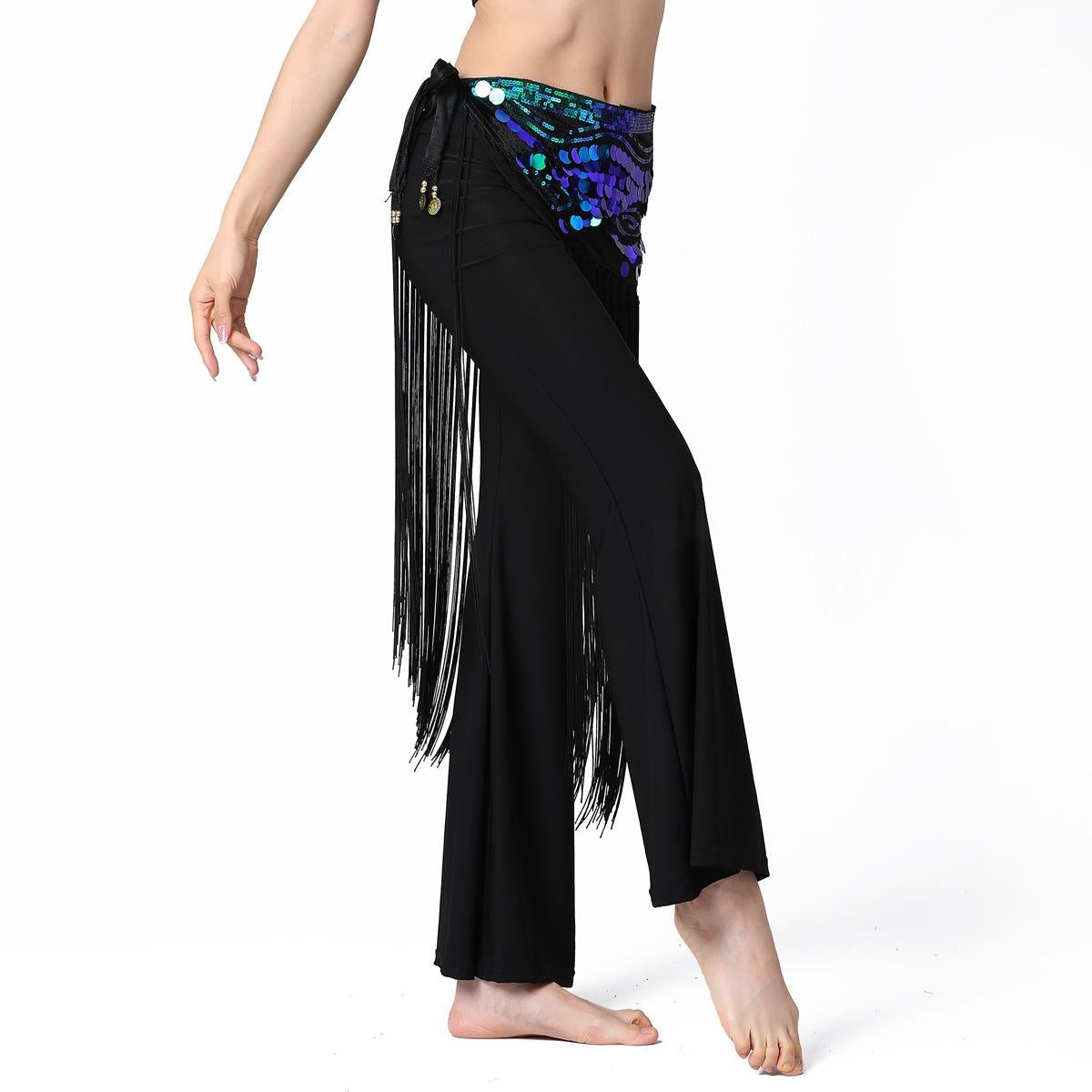 Sequin Long Tassel Waist Chain, Belly Dance Waist Chain