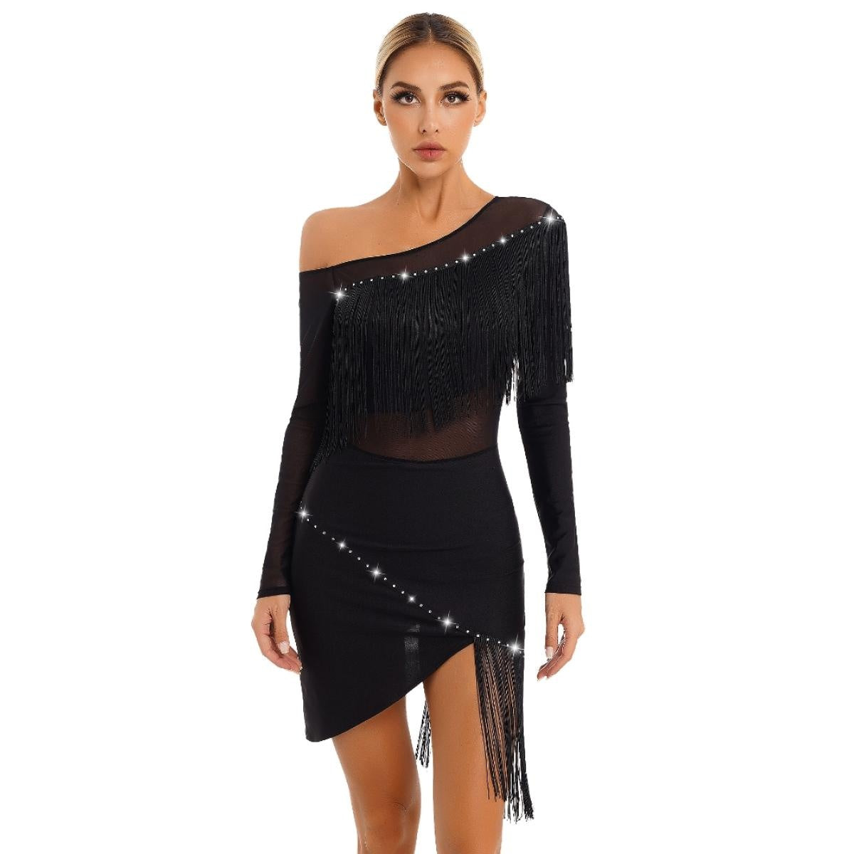 Women National Ballroom Fringed Tango Samba Dance Dress Mesh Long Sleeve Latin Dance Performance Dress