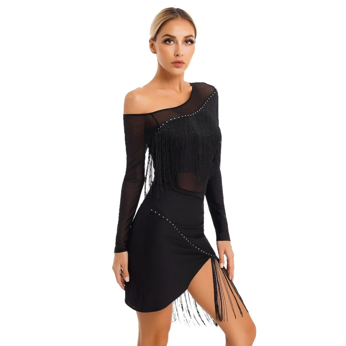 Women National Ballroom Fringed Tango Samba Dance Dress Mesh Long Sleeve Latin Dance Performance Dress