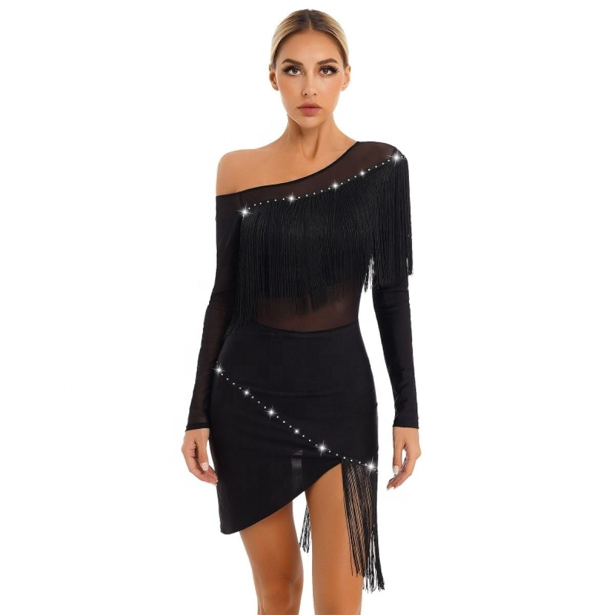 Women National Ballroom Fringed Tango Samba Dance Dress Mesh Long Sleeve Latin Dance Performance Dress