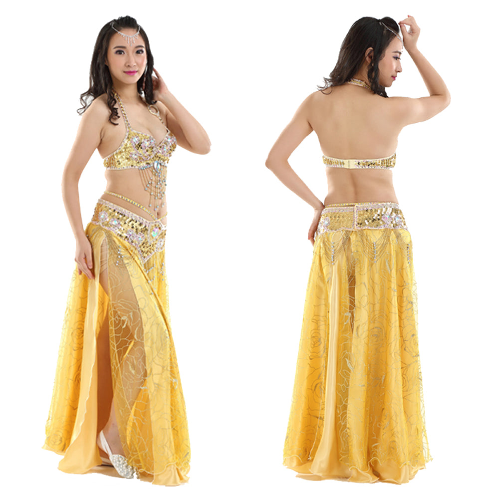 New Arrivals Belly Dance Costumes with Belly Dance Rose Skirt Belly Dance Dress 1 Set