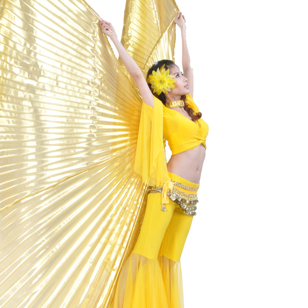 Costume de danse du ventre pour femme, ailes d'Isis, ailes de danse, ailes d'ange pour spectacle de carnaval d'Halloween avec bâtons