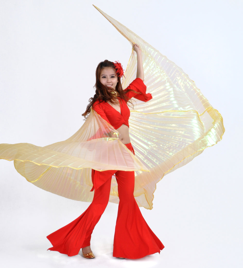 New Arrivals Belly Dance Costume Isis Wings, Dance Wings Angel Wings for Halloween Carnival Performance with Sticks