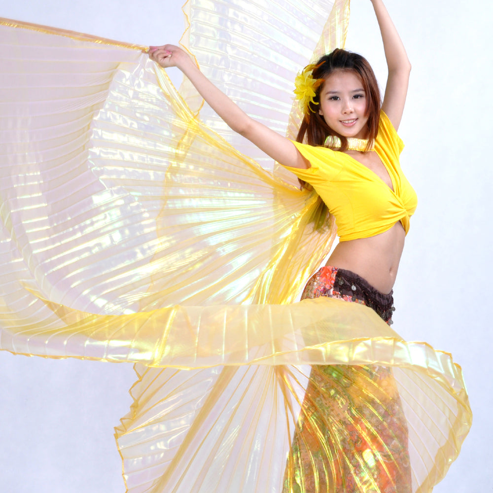 New Arrivals Belly Dance Costume Isis Wings, Dance Wings Angel Wings for Halloween Carnival Performance with Sticks